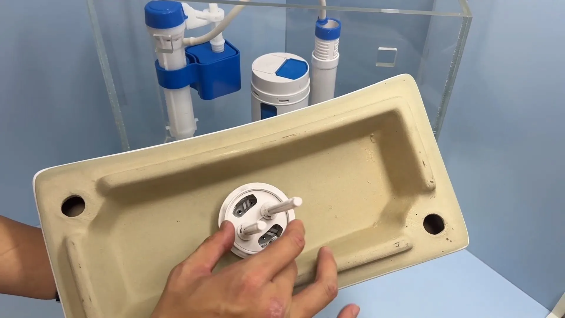 Hands holding a cream toilet tank lid in front of a clear display tank that shows a blue fill valve and a flapper
