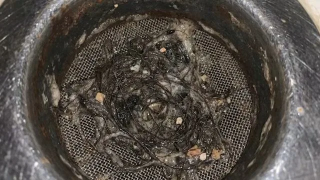 Round drain strainer seen from above, packed with a dark tangle of hair and debris