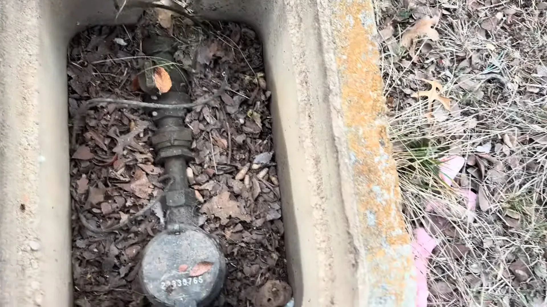 Water meter and pipes inside a concrete in-ground box with dry leaves and grass beside it