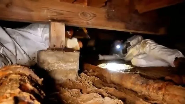 Worker in a white protective suit with a headlamp crawling beneath darkened wooden joists